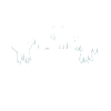 Squad Ghosts Geister Halloween