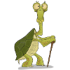 Octogenarian turtle