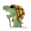 The Old Turtle