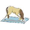 Yoga Pony - Downward looking dog