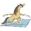 Yoga Pony - Warrior 2