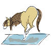 Yoga Pony - Crow