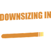 Downsizing In Progress 17