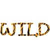 Four Ever Wild 38