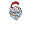 Dear Santa I Can Explain