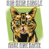 HABE EINE KATZE