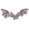 Fledermaus