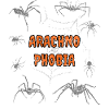 Arachnophobia, Fear Of Spiders