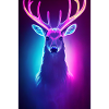 Affiche Neon Deer