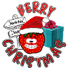 Baies sucrées Noël