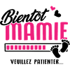 bientôt Mamie veuillez patienter