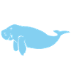 J’aime dugongs Lamantins mon