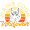 Maine Coon Chat
