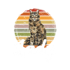 Maine Coon Cat