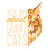 Maine Coon Cat