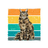 Maine Coon Cat