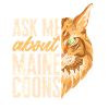 Maine Coon Chat