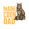 Maine Coon Cat