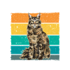 Maine Coon Cat