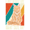 Maine Coon Chat