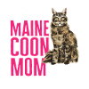 Maine Coon Cat