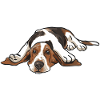Basset Hound Gift