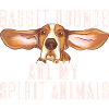 Basset Hound Gift