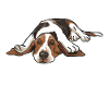 Basset Hound Gift