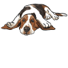 Basset Hound Gift