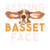 Basset Hound Gift