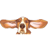 Basset Hound Gift