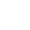 BJJ Brazilian Jiu-Jitsu