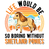 Shetland Pony Gift Shetty