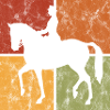 Dressur Ridning DressurRyttere Ridehest