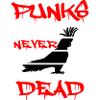 Punk rock parrot with Iroquois rocks against the right