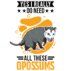 Opossum Gift Possum Marsupial
