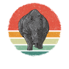 Rhinoceros Rhinoceros