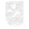 Rock N Roll Skull