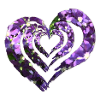 3-fold heart