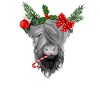 Scottish Highland cow at Christmas