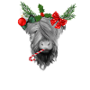 Hairy Christmas Scottish Highland Cattle