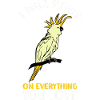 Cockatoo
