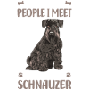 Schnauzer dog breed