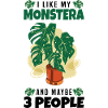 Plante d’intérieur