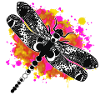 Dragonfly Encre