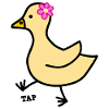 Astuce Tap Petit Canard