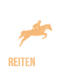 Pferde Therapie Spruch