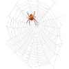 Spider with spider web