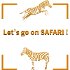 C’est parti pour SAFARI