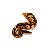 Pastel Ball Python Owner